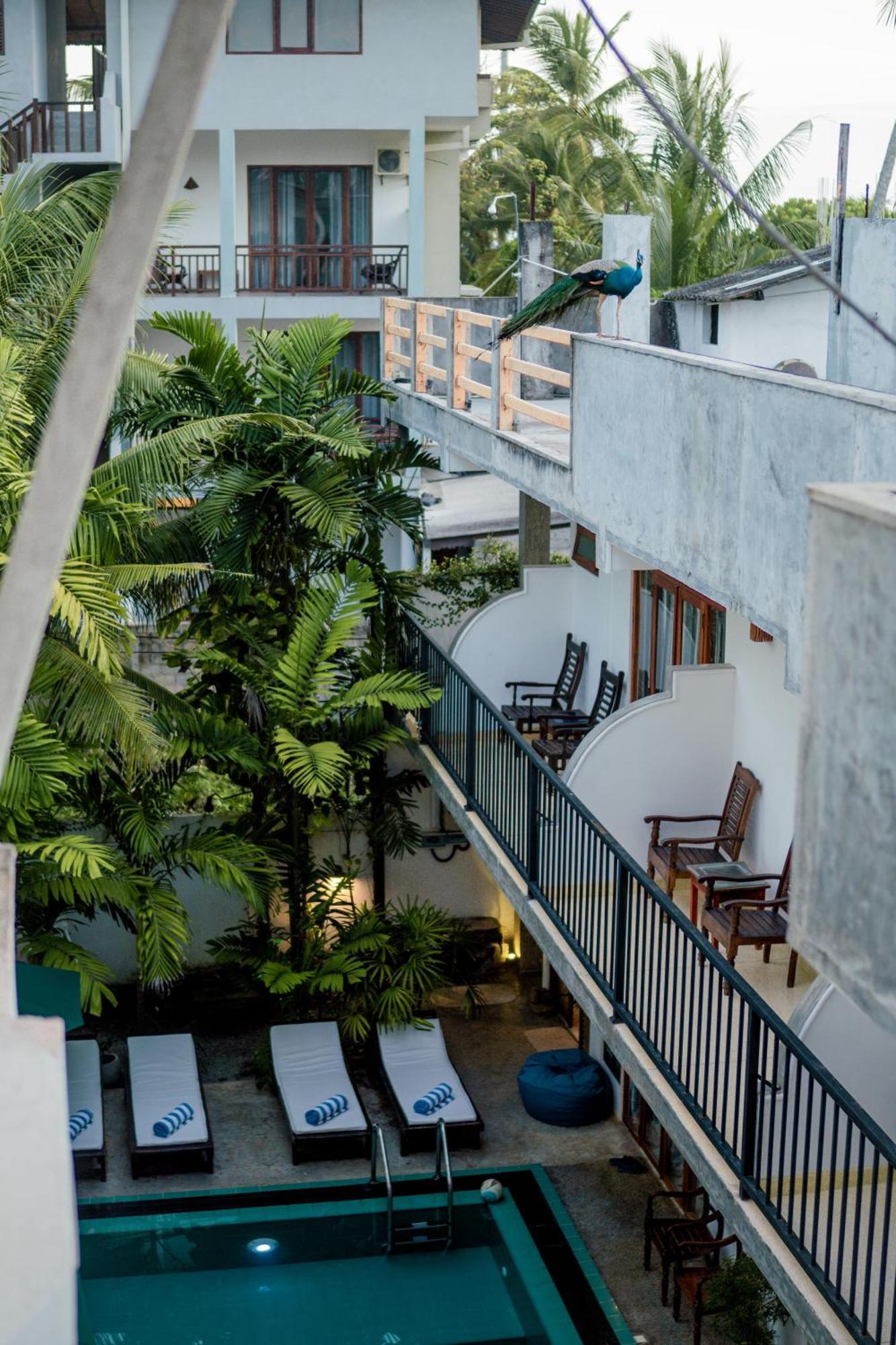 Hotel Bienvenido Cozy Madiha Matara Zewnętrze zdjęcie